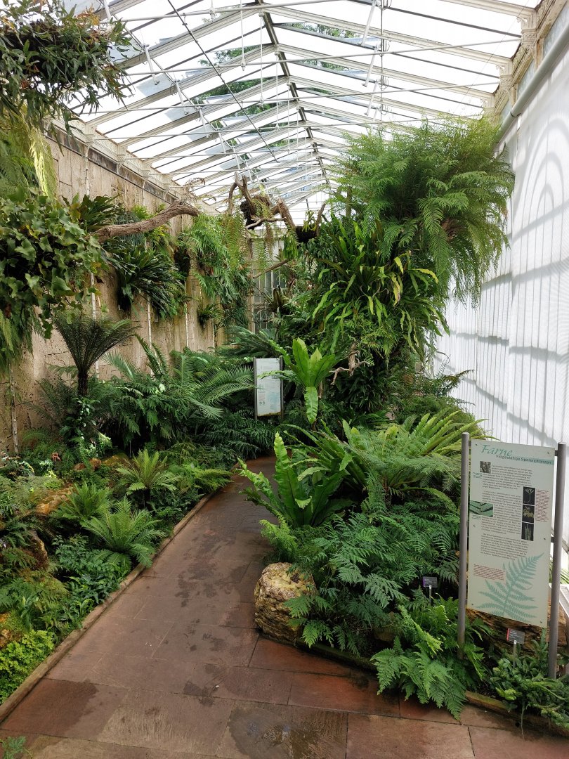 Edible plants greenhouse