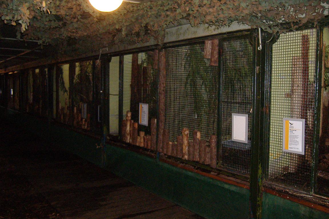 Edinburgh Bird House