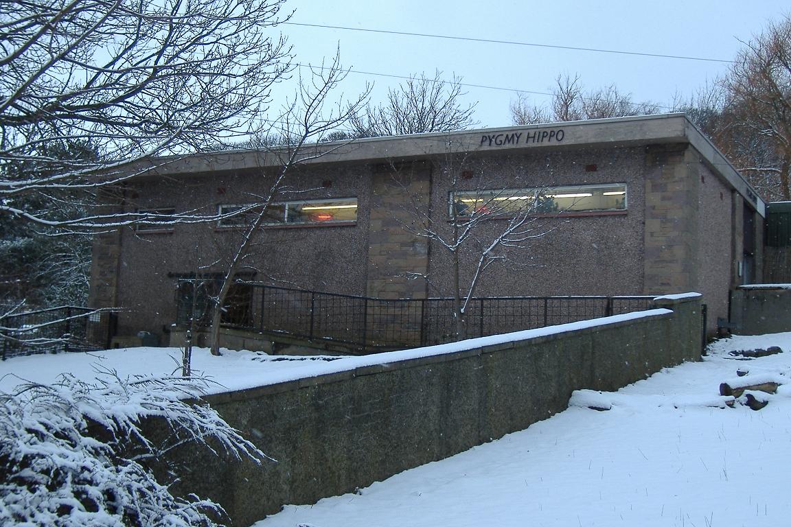 Edinburgh Hippo House