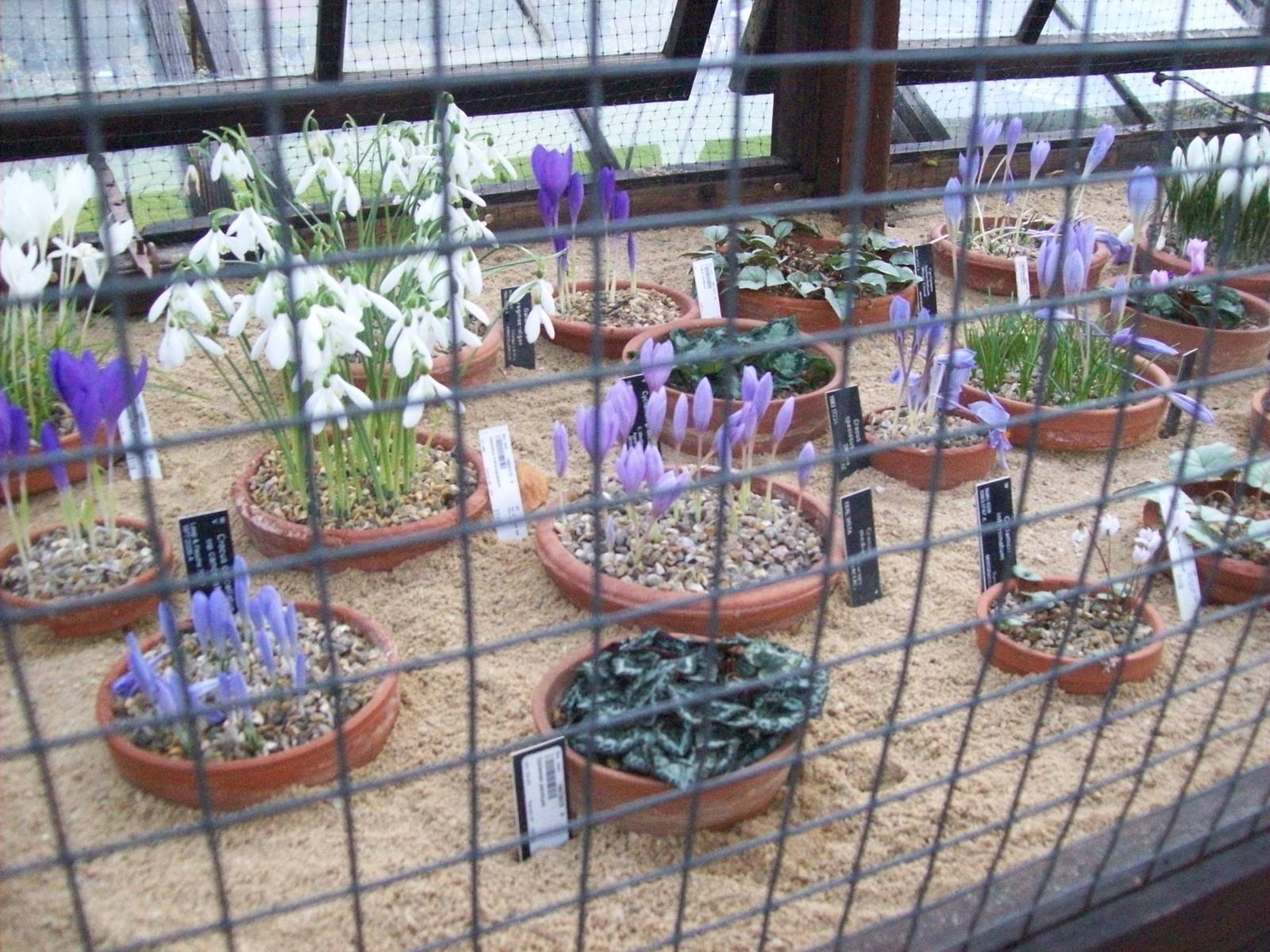 Edinburgh royal botanical gardens