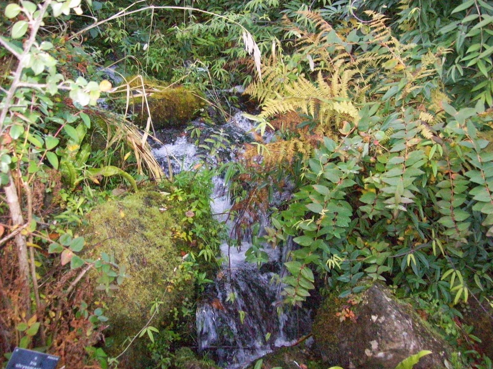 Edinburgh royal botanical gardens