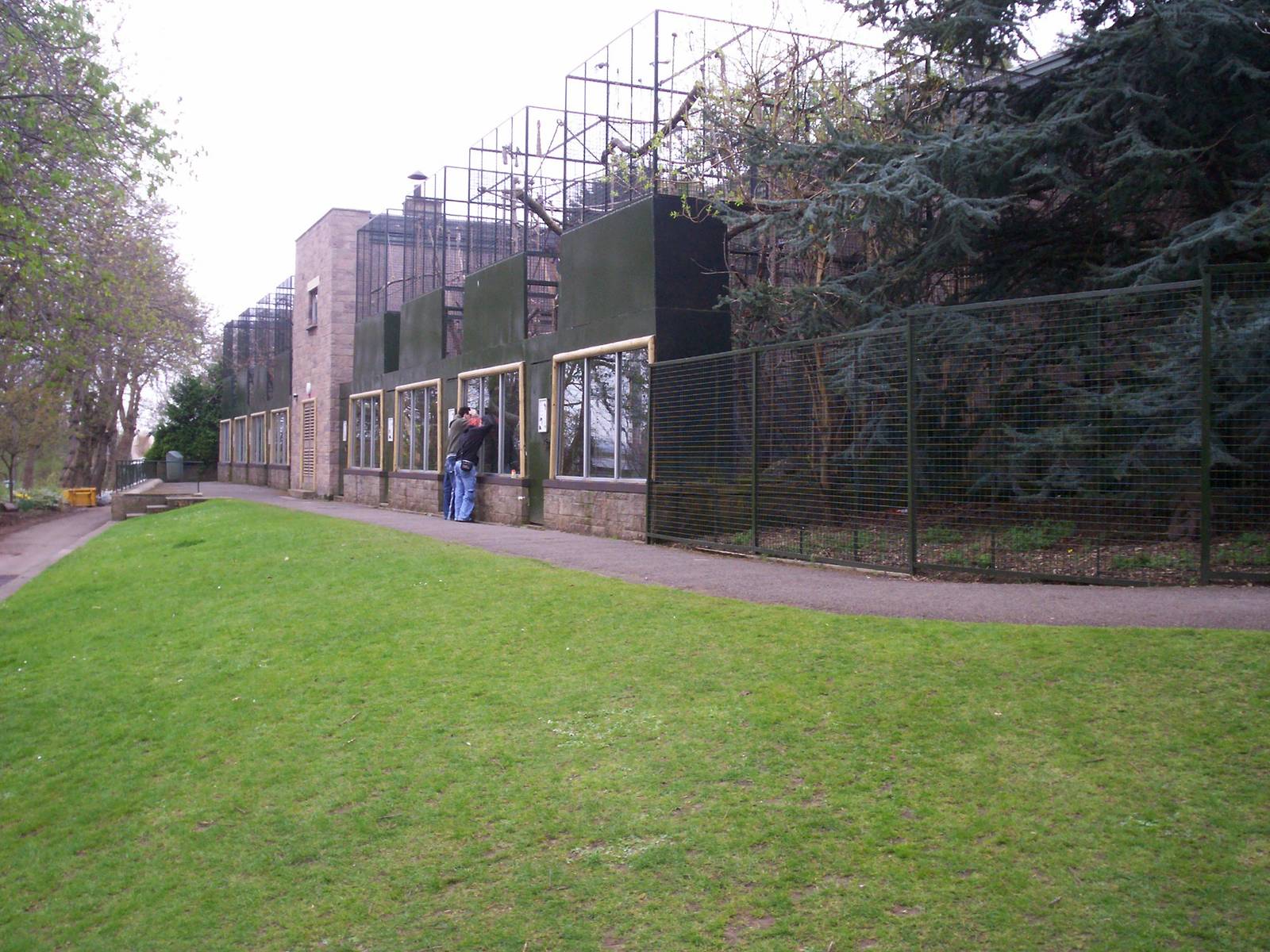 Edinburgh zoo 06 04 09