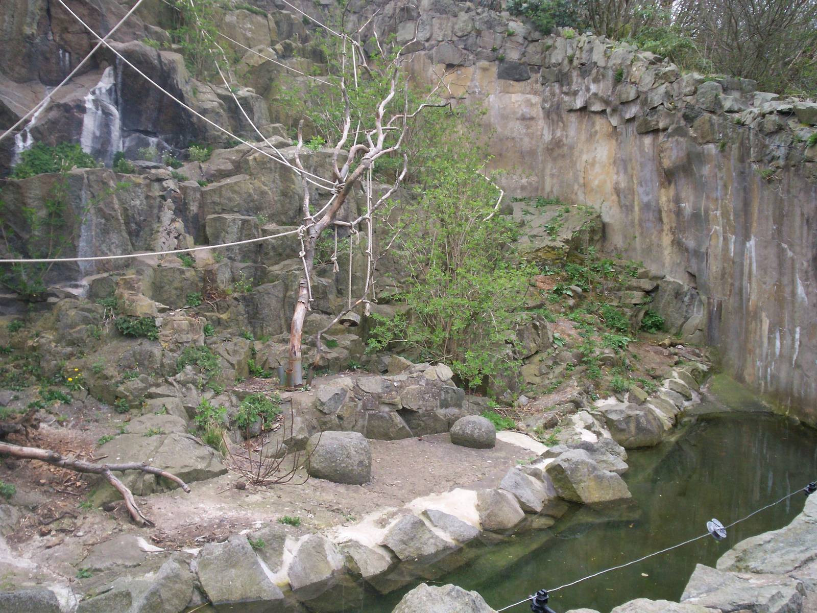 Edinburgh zoo 06 04 09