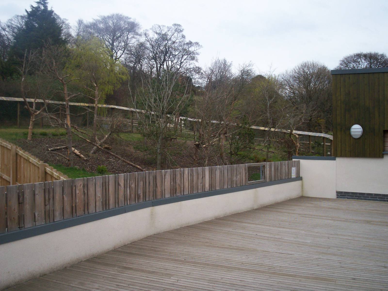 Edinburgh zoo 06 04 09