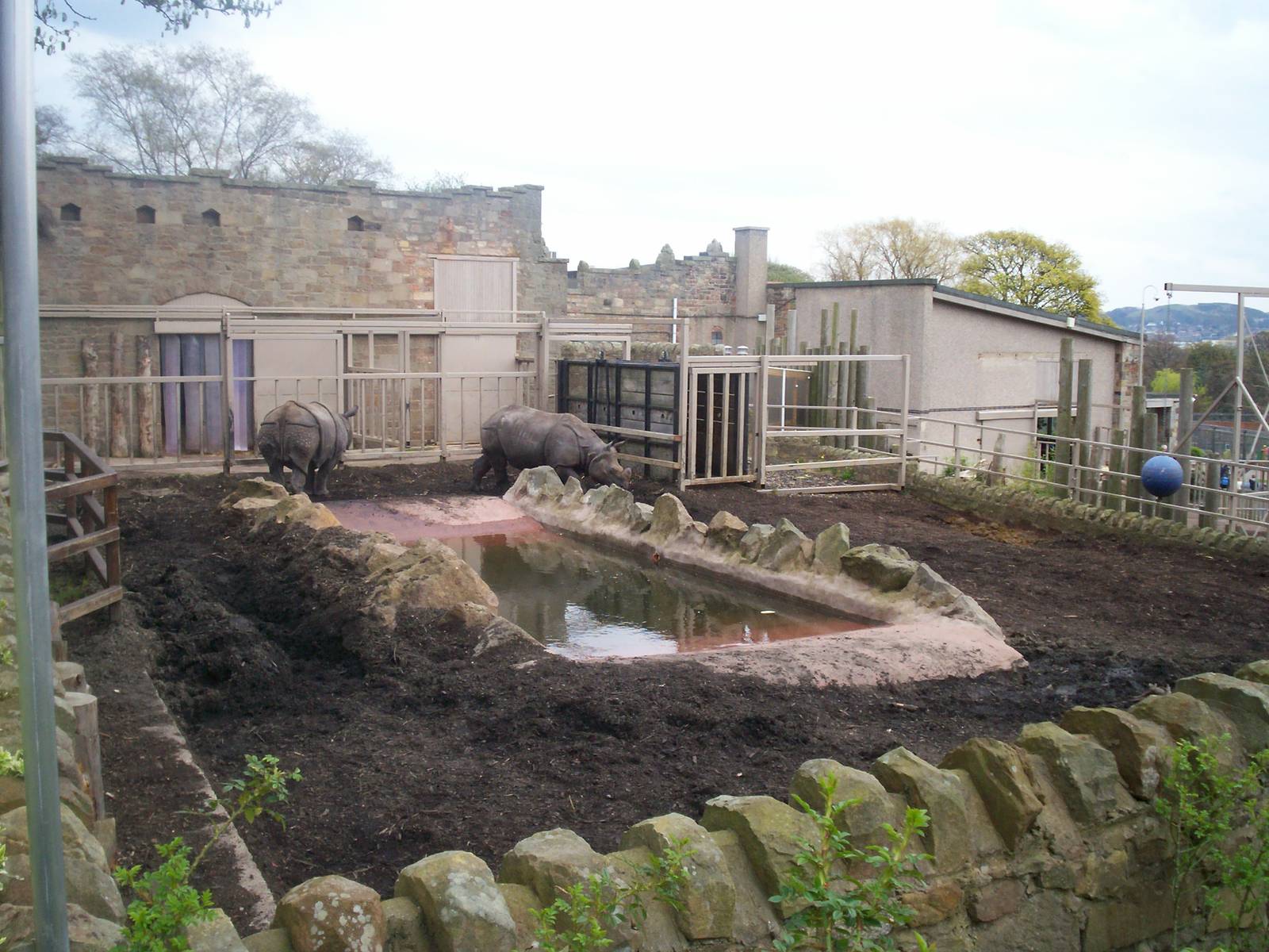 Edinburgh zoo 06 04 09