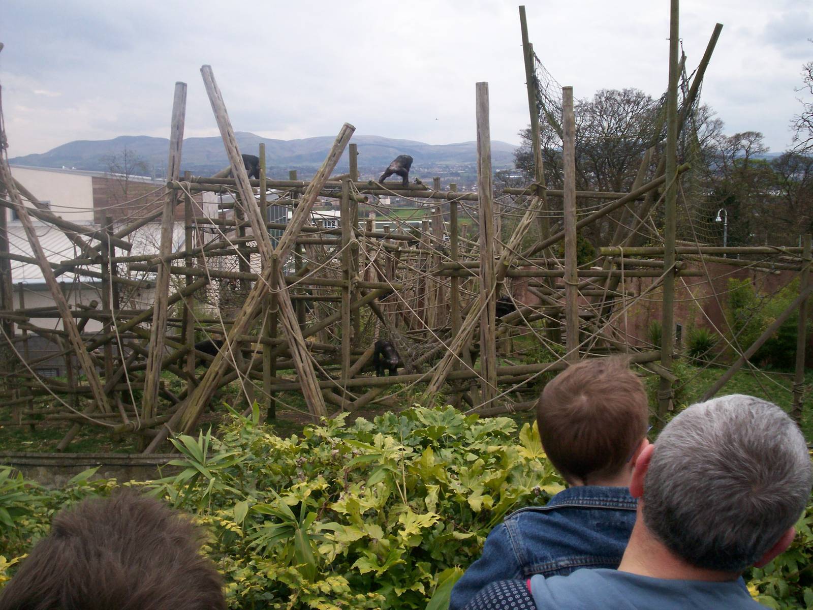 Edinburgh zoo 06 04 09