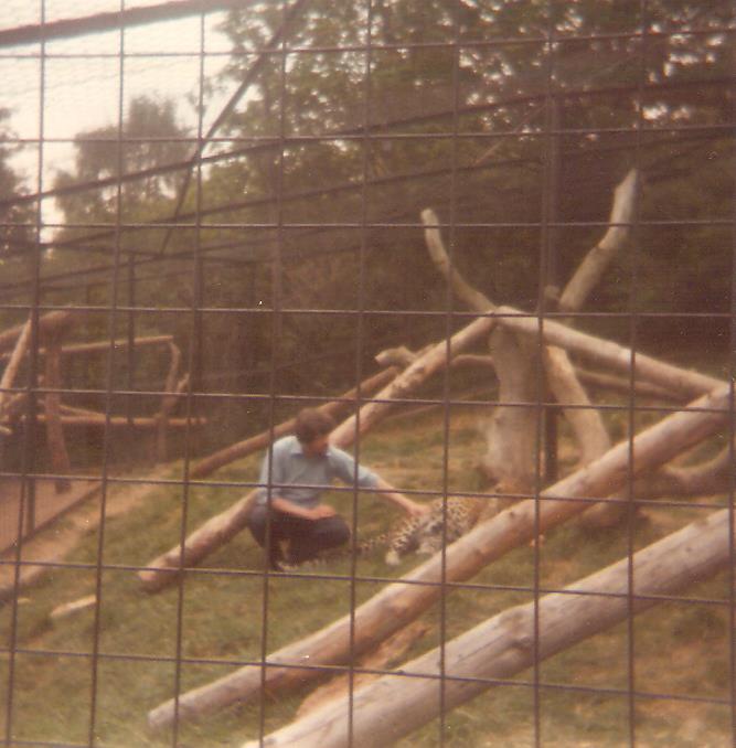 Edinburgh Zoo Cheetah Enclosure