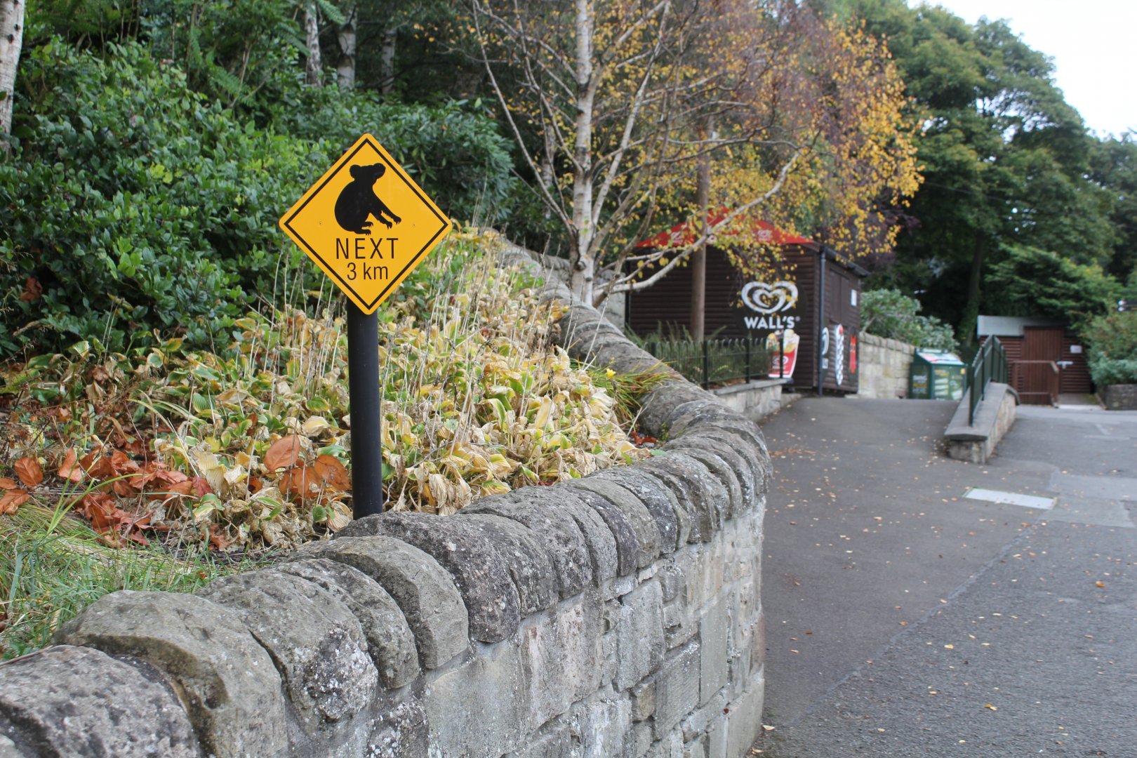 Edinburgh Zoo Koala Territory - Does anyone know anything about the enclosure to the left here?