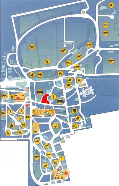 Edinburgh Zoo Map Pre Asiatic Lions