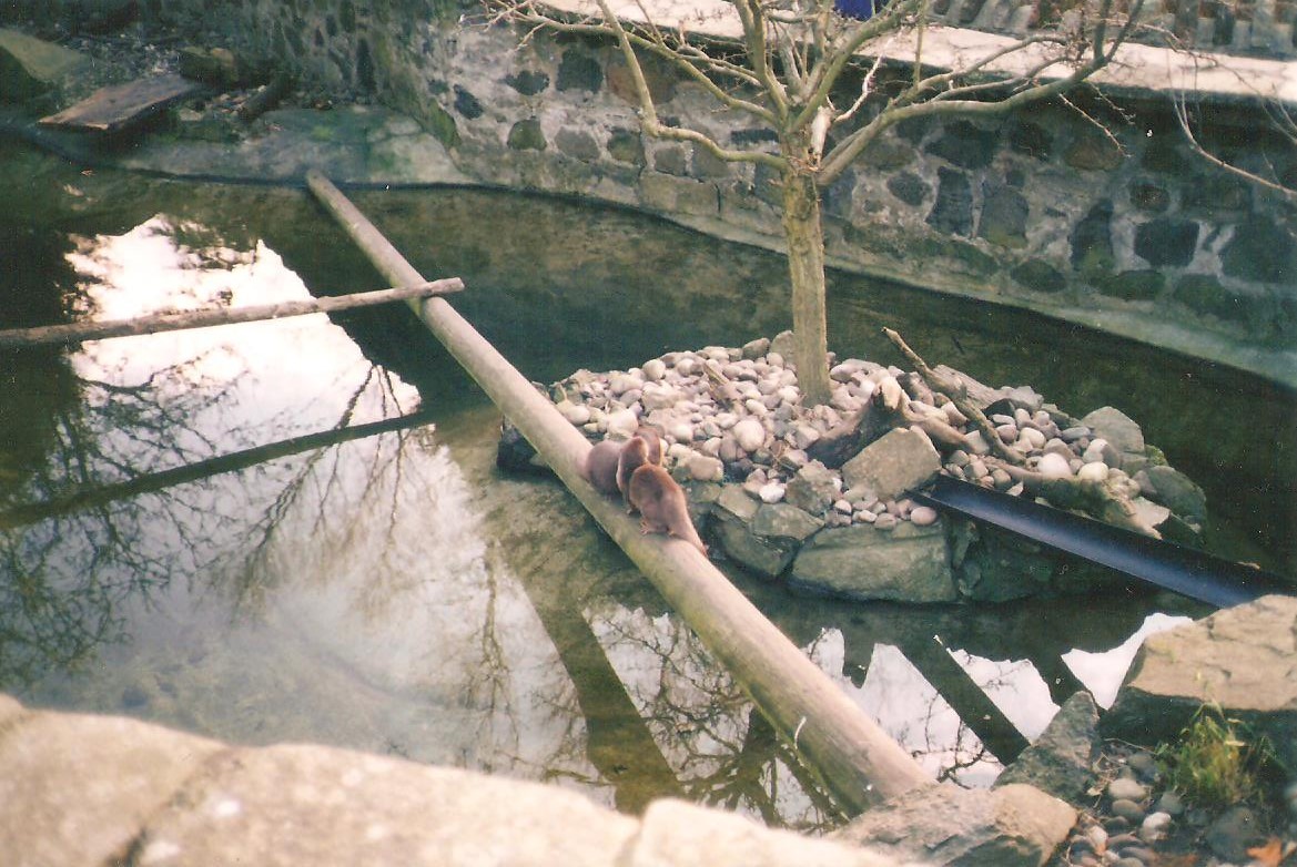 Edinburgh Zoo Otter Enclosure Old