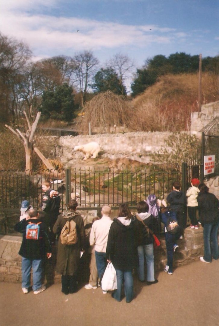 Edinburgh Zoo Polar Bear Enclosure 1990's