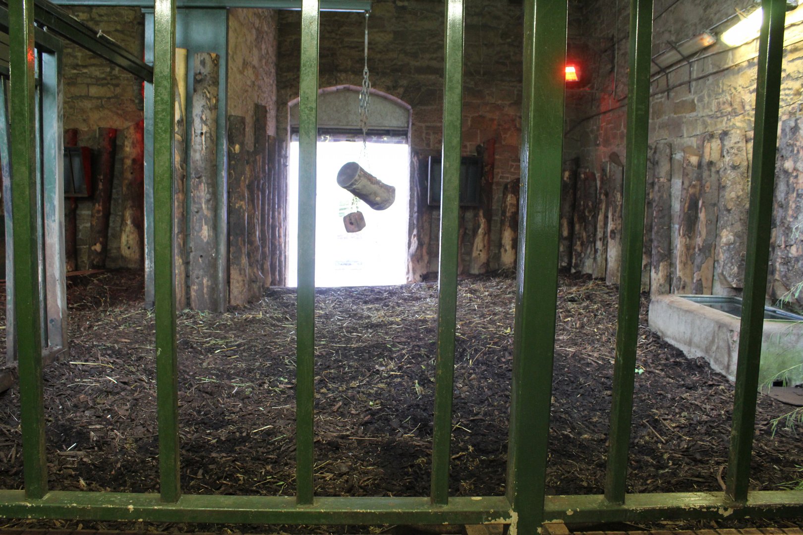 Edinburgh Zoo Rhino House Top