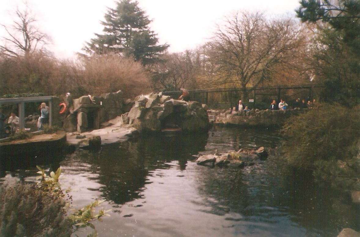 Edinburgh Zoo Sealion Enclosure 1990's