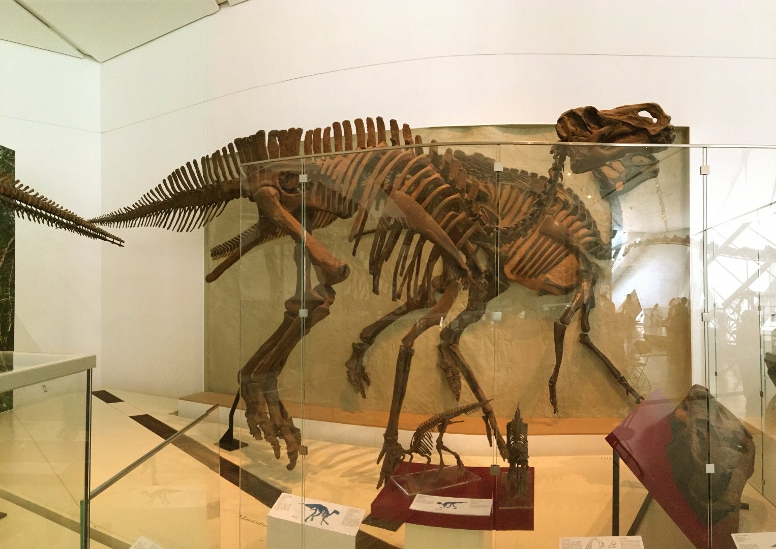 Edmontosaurus