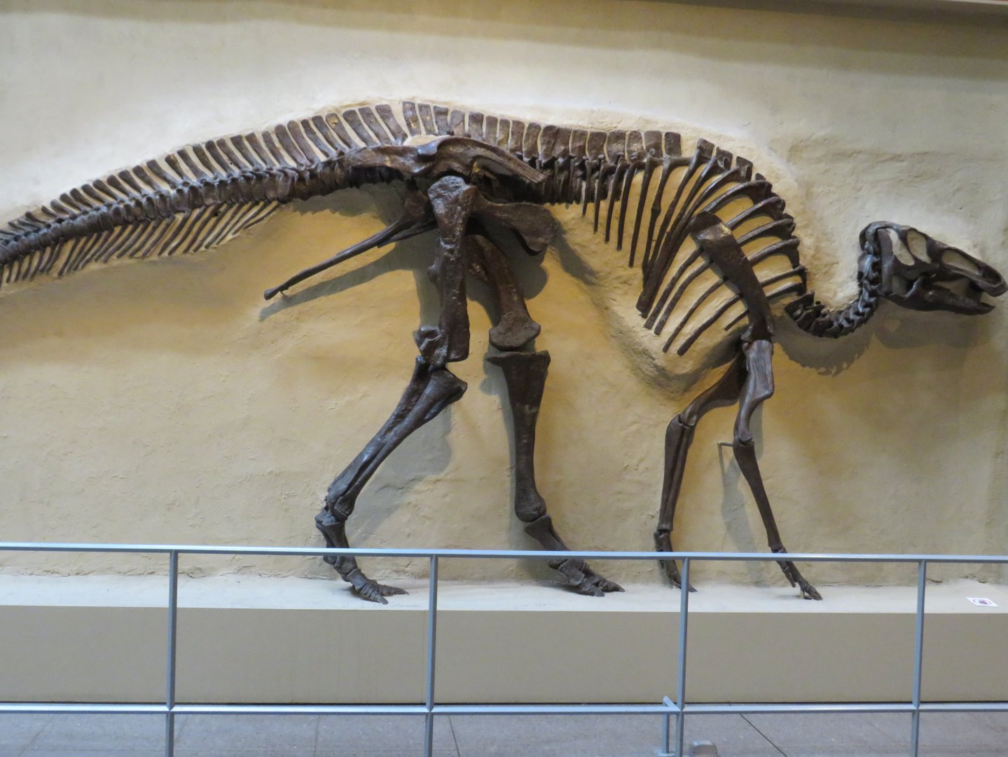 Edmontosaurus