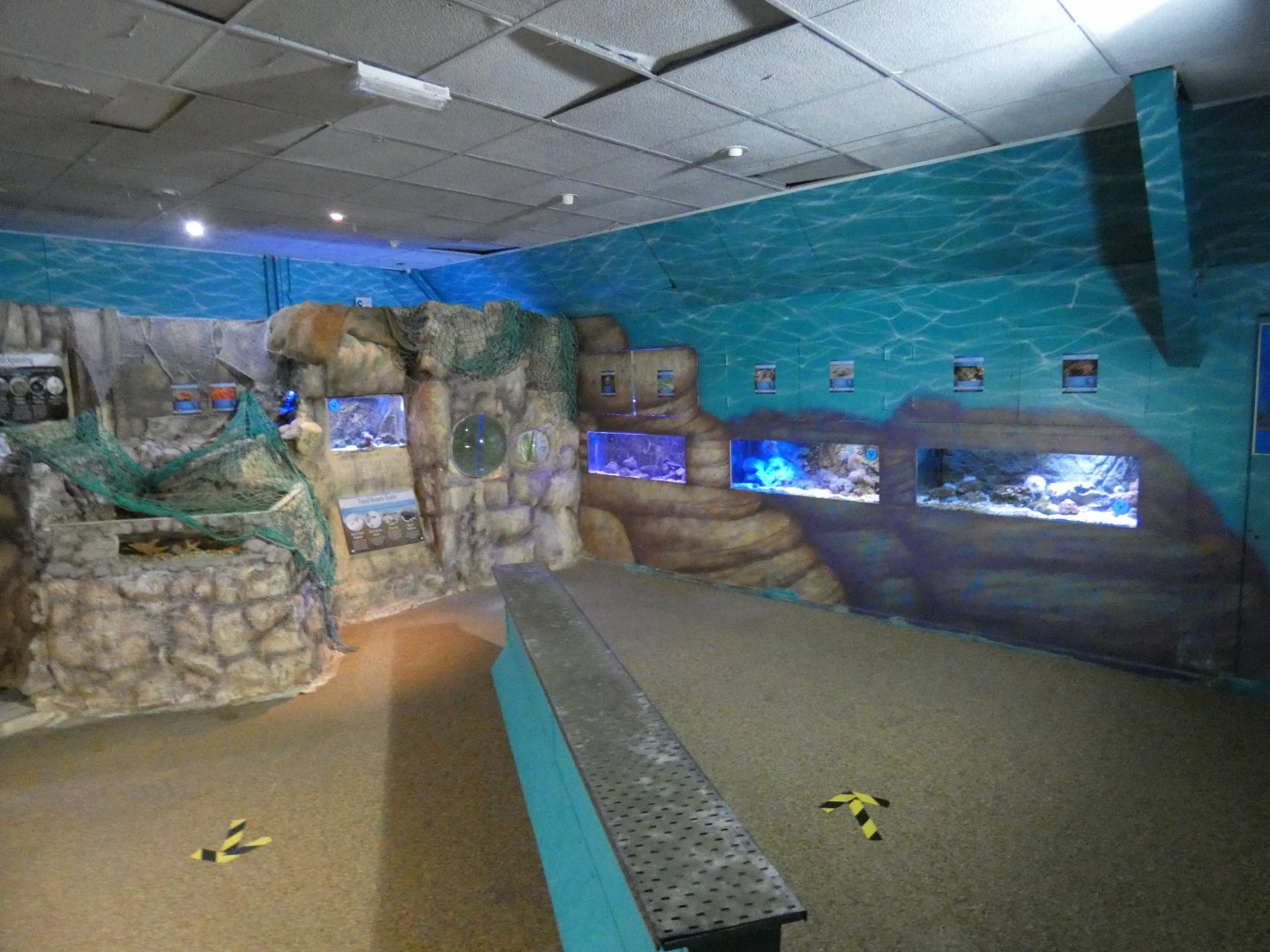 Education and touch pool area