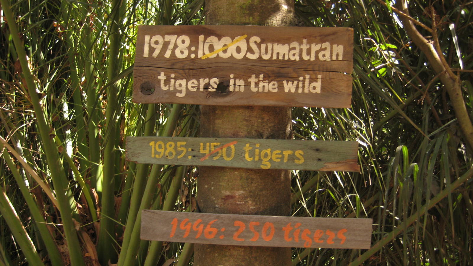 Education at Melbourne Zoo