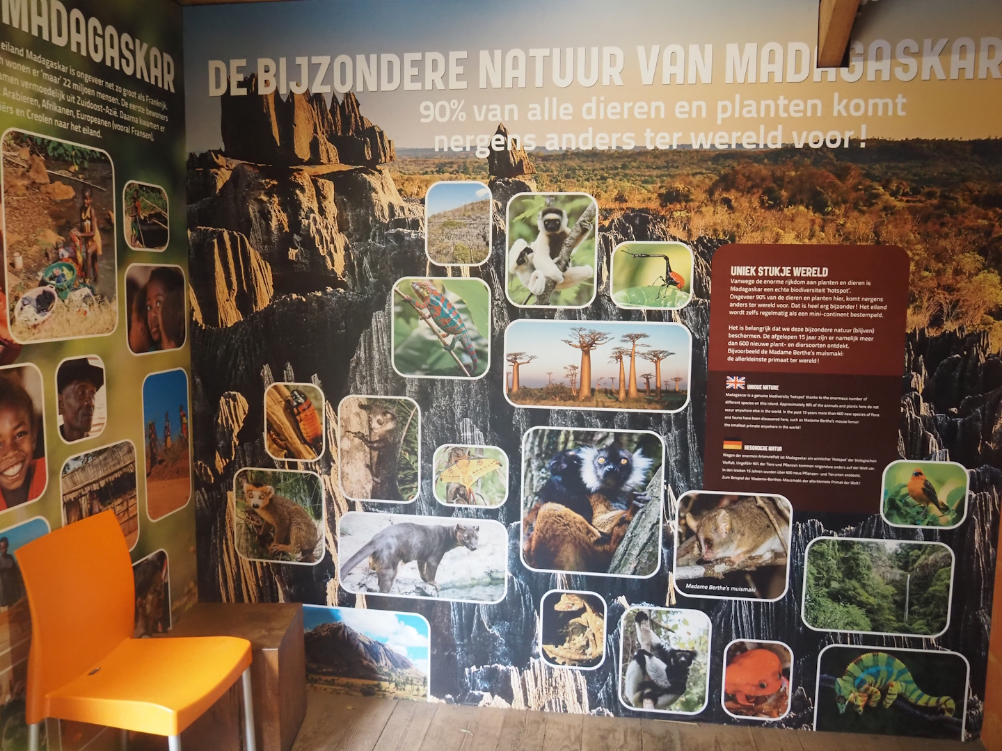 Education building - Biodiversity of Madagascar signage, 2024-08-18