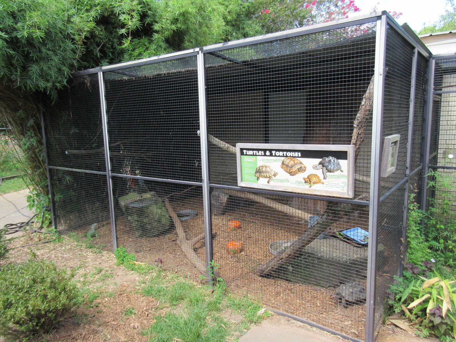 Education Building - Green Iguana/Tortoise Exhibit