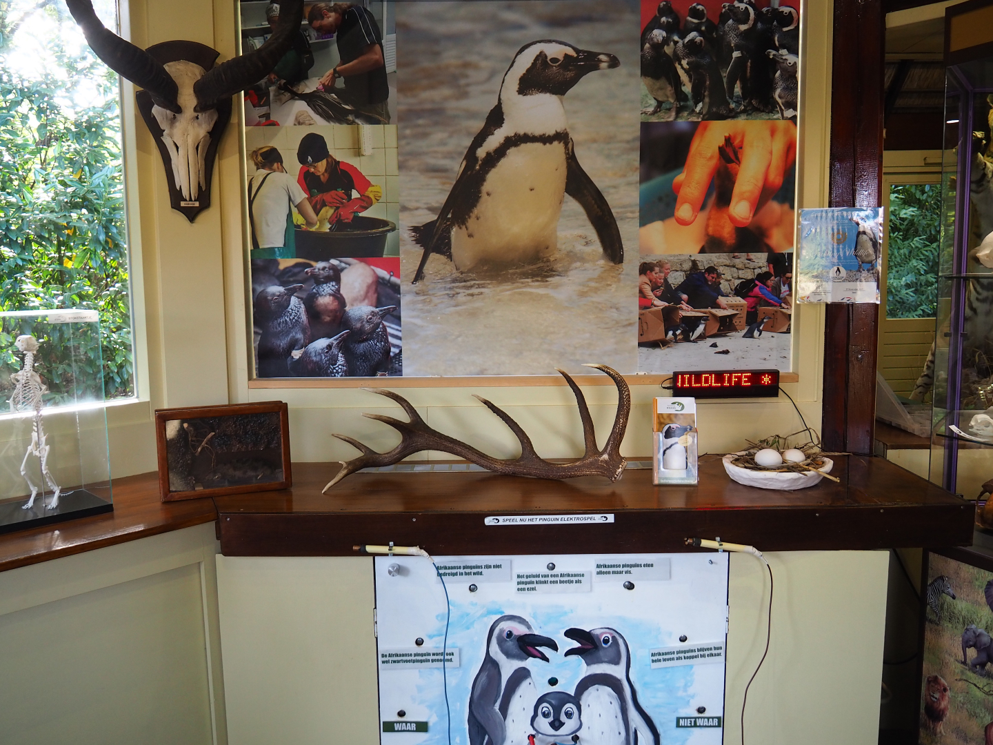 Education building - Interpretive displays and specimens, 2019-09-15