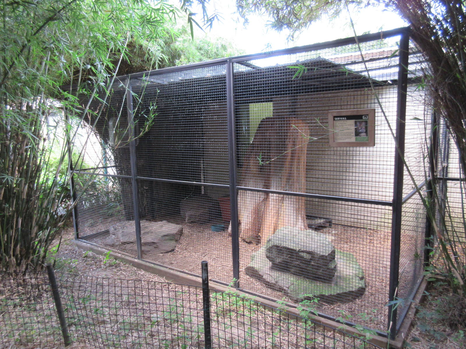 Education Building - Serval Exhibit