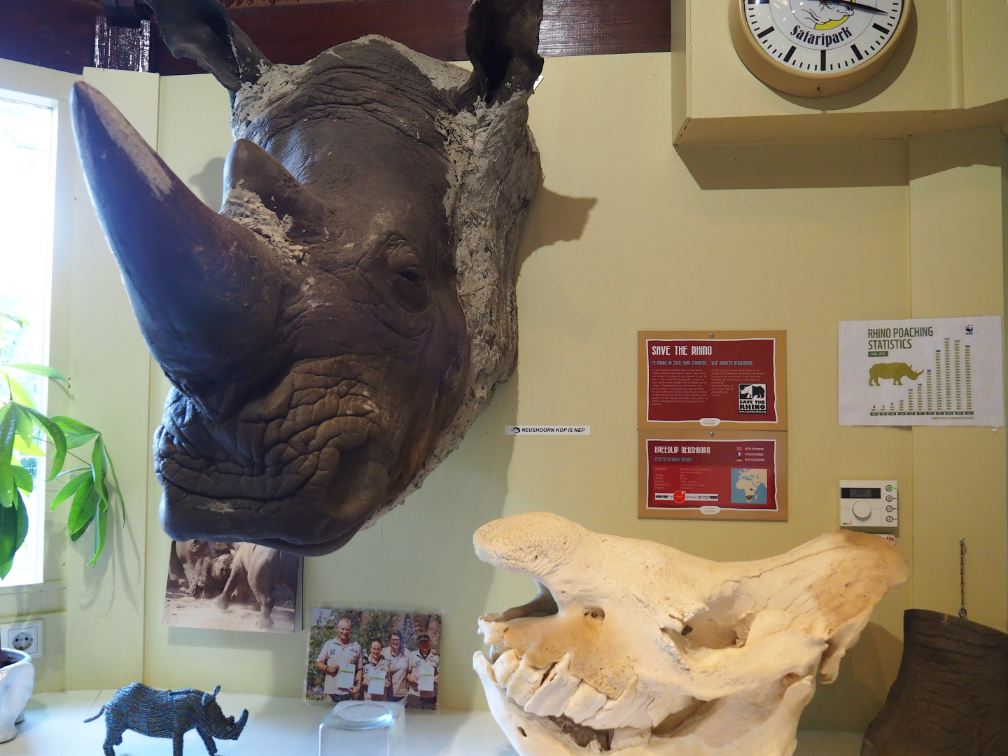 Education building - White rhinoceros specimens and conservation information, 2019-09-15