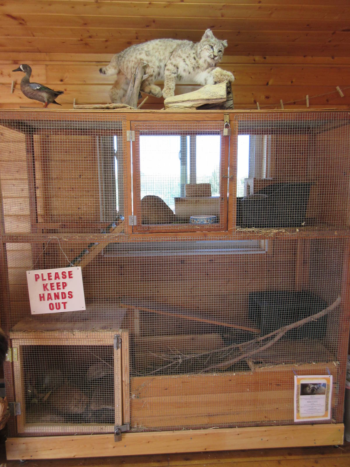 Education Building - Yellow-Bellied Marmot Exhibit