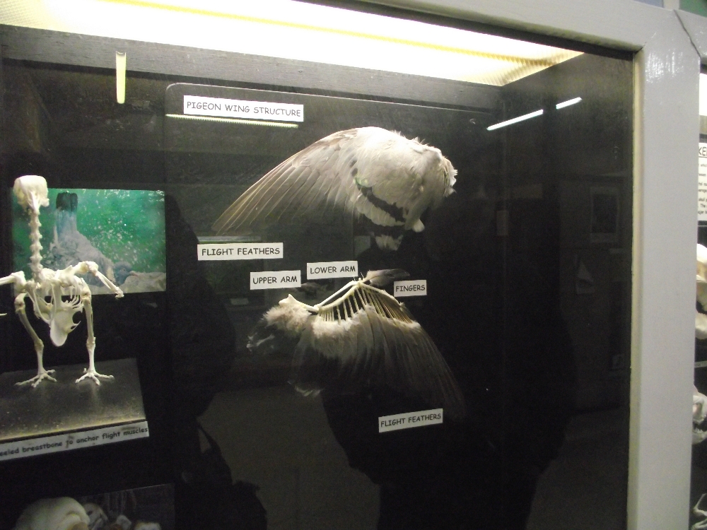 Education Centre Display