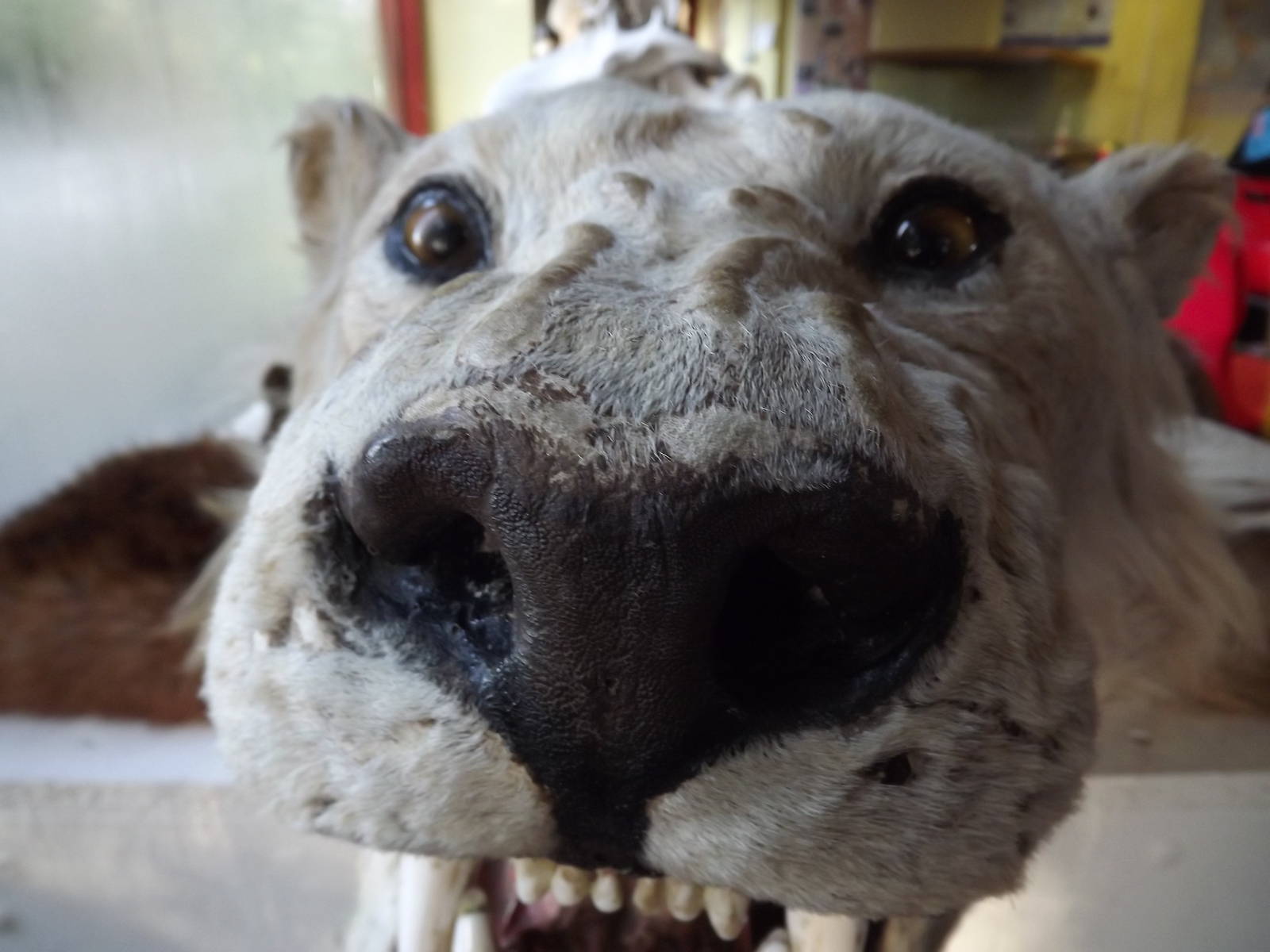 Education classroom at Blackpool Zoo 15/01/12
