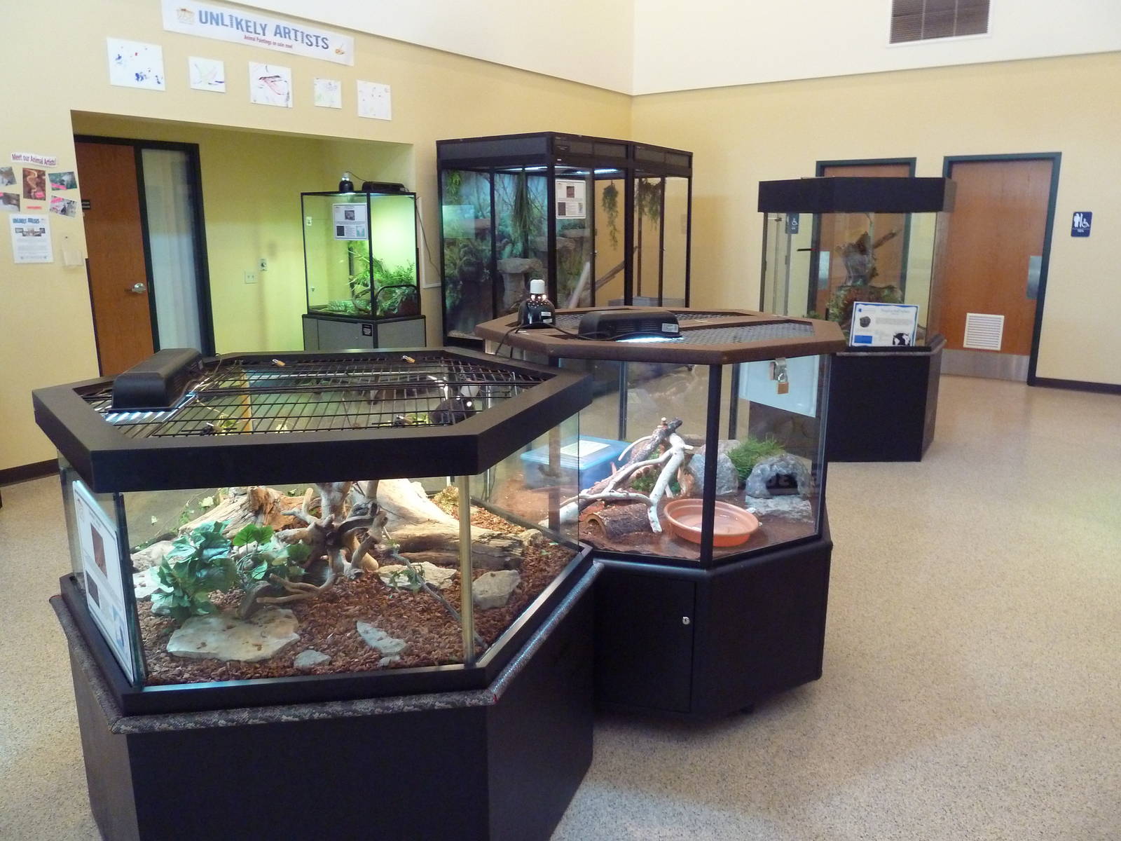 Education + Conservation Center - Assorted Terrariums