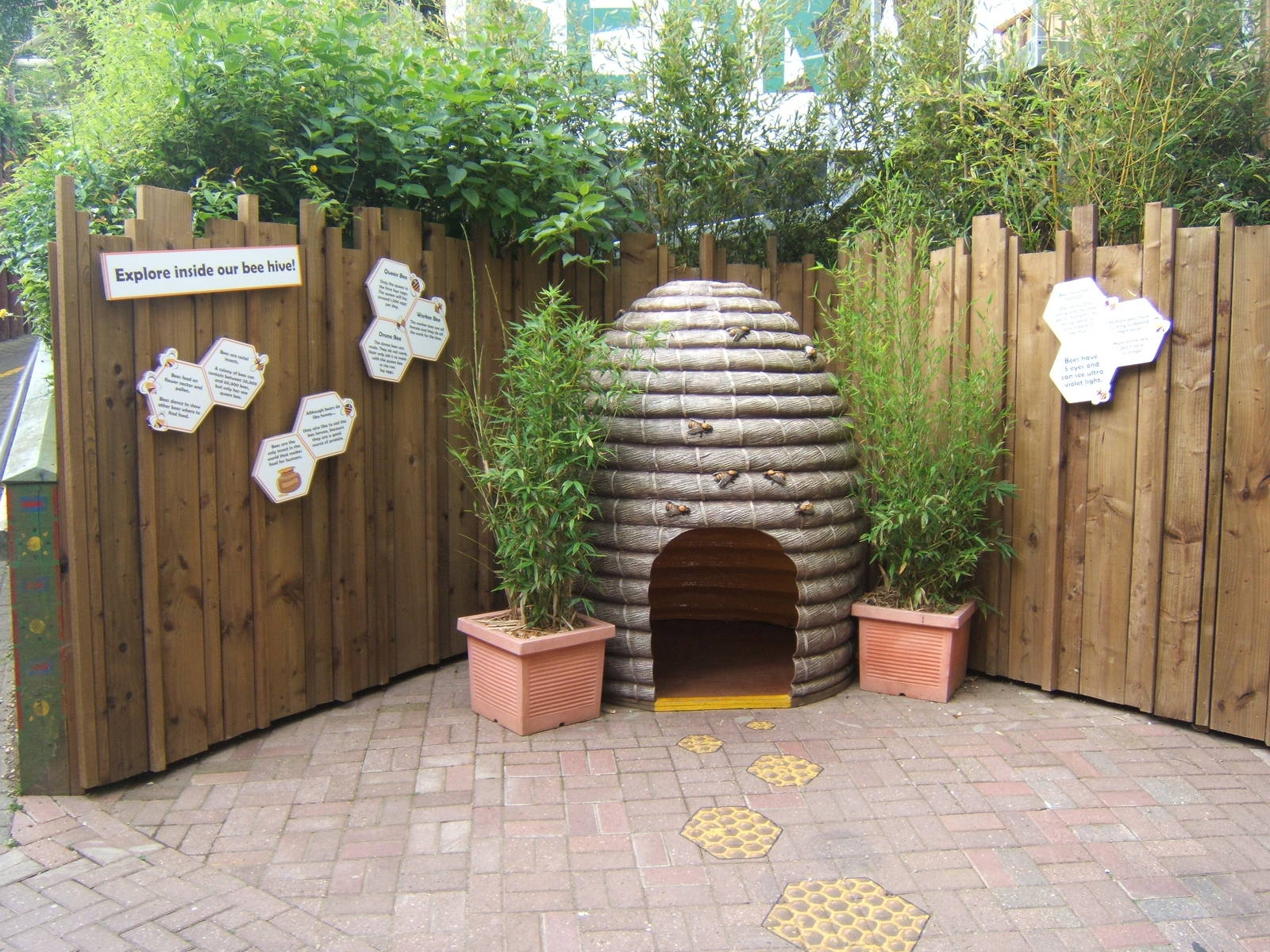 Education display about Bee`s