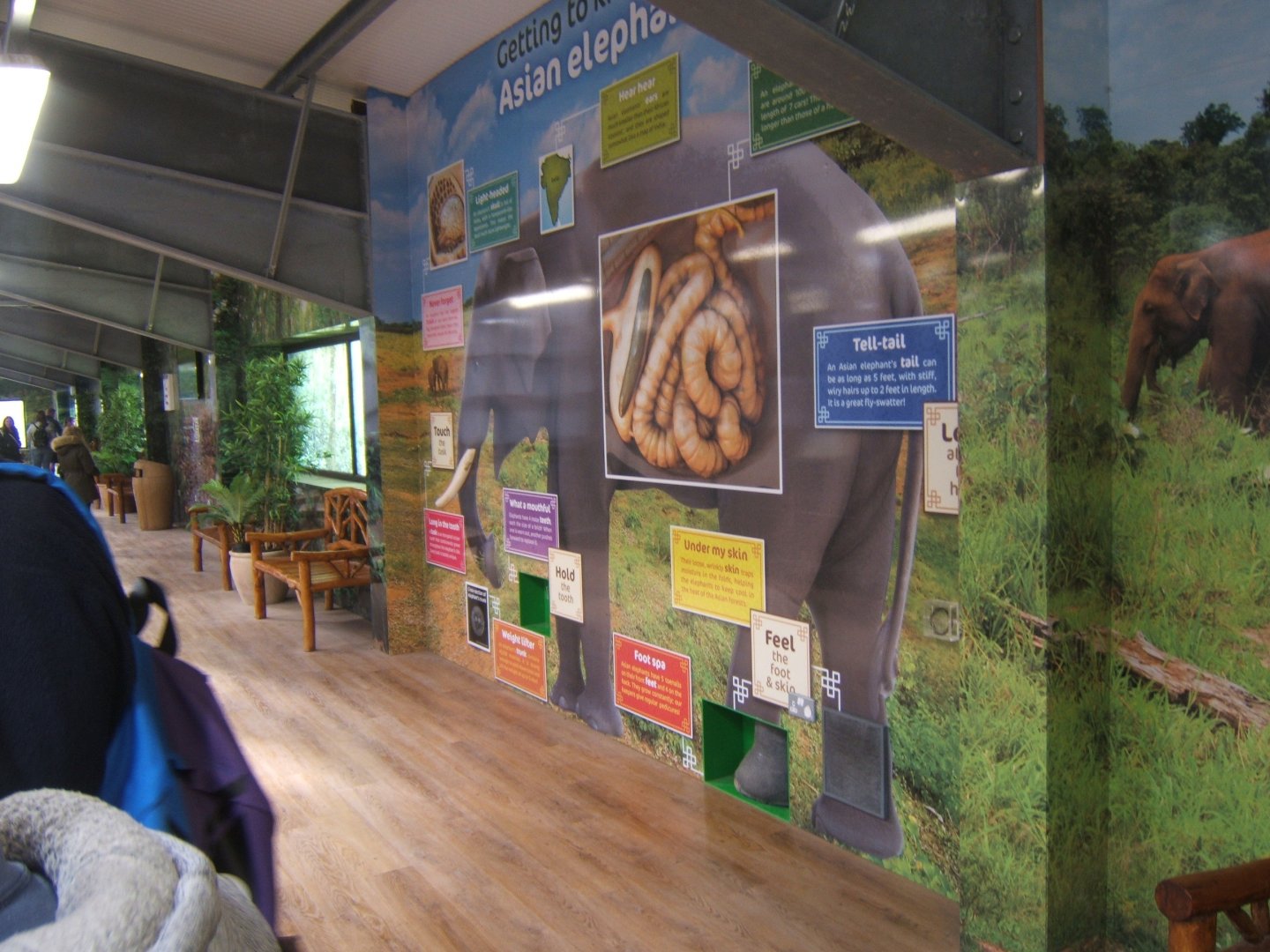 Education display in Elephant House 14/04/2019