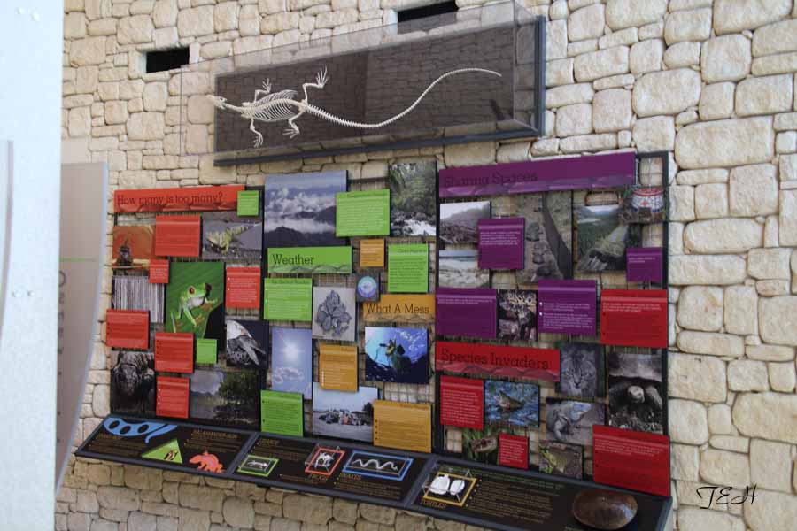 education display inside MOLA