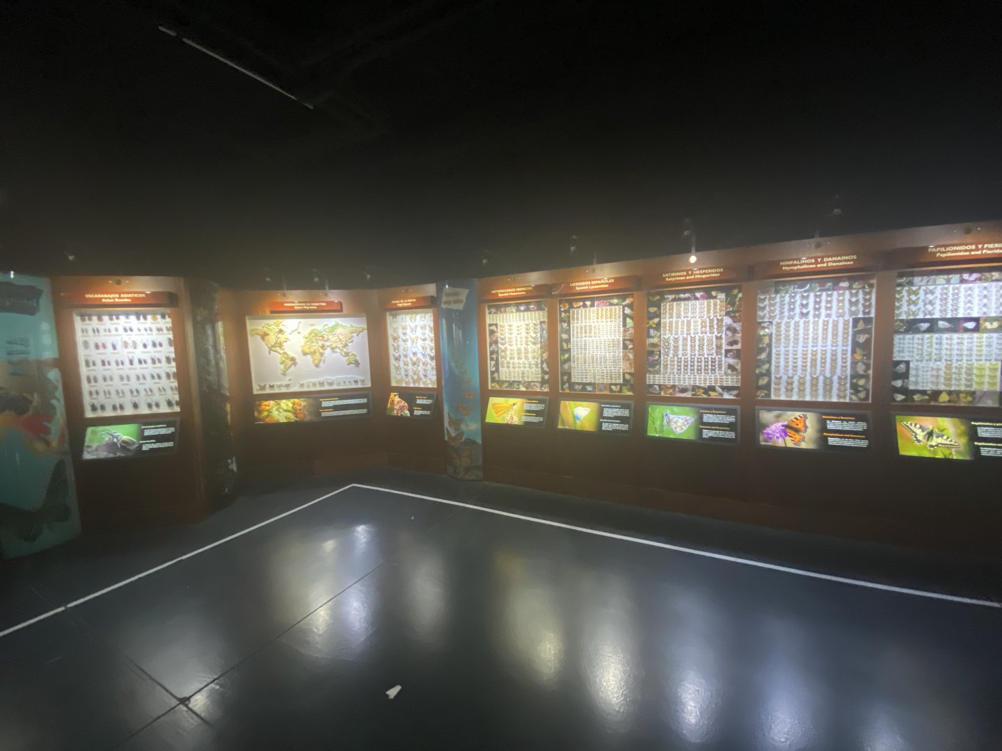 Education displays 4