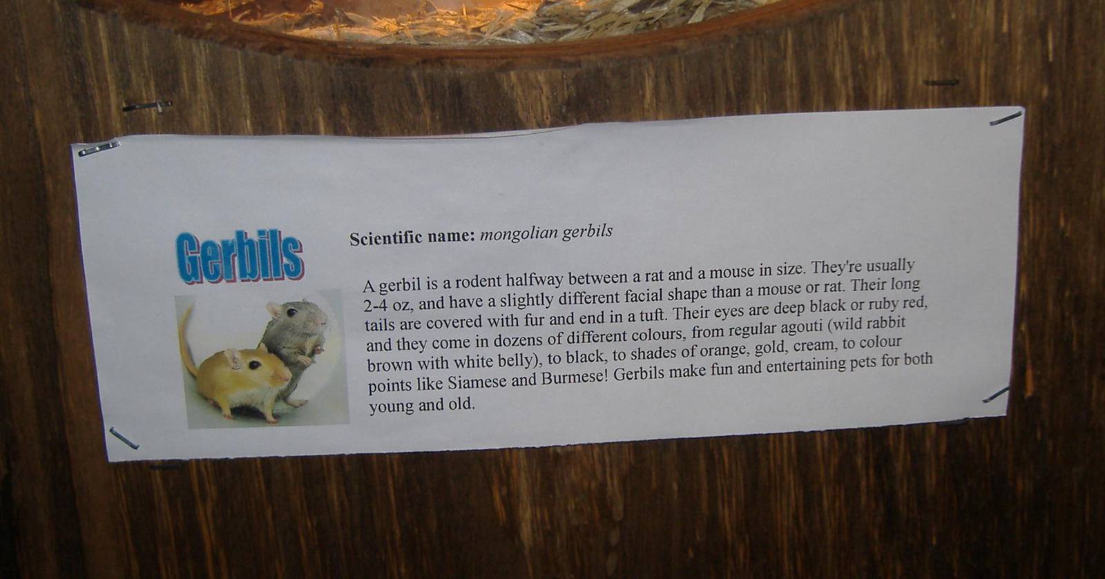 education education education