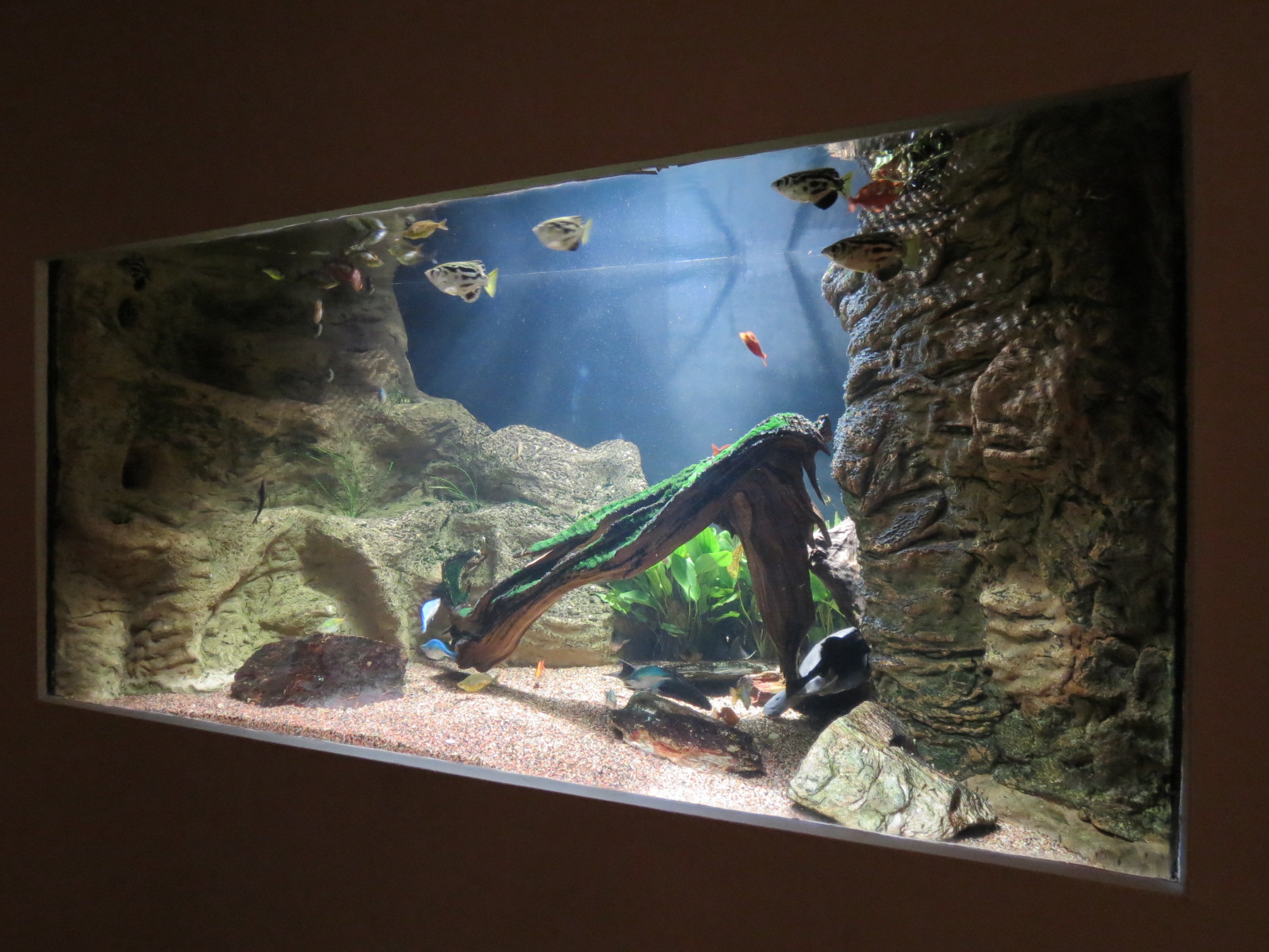 Education Entrance Exhibit