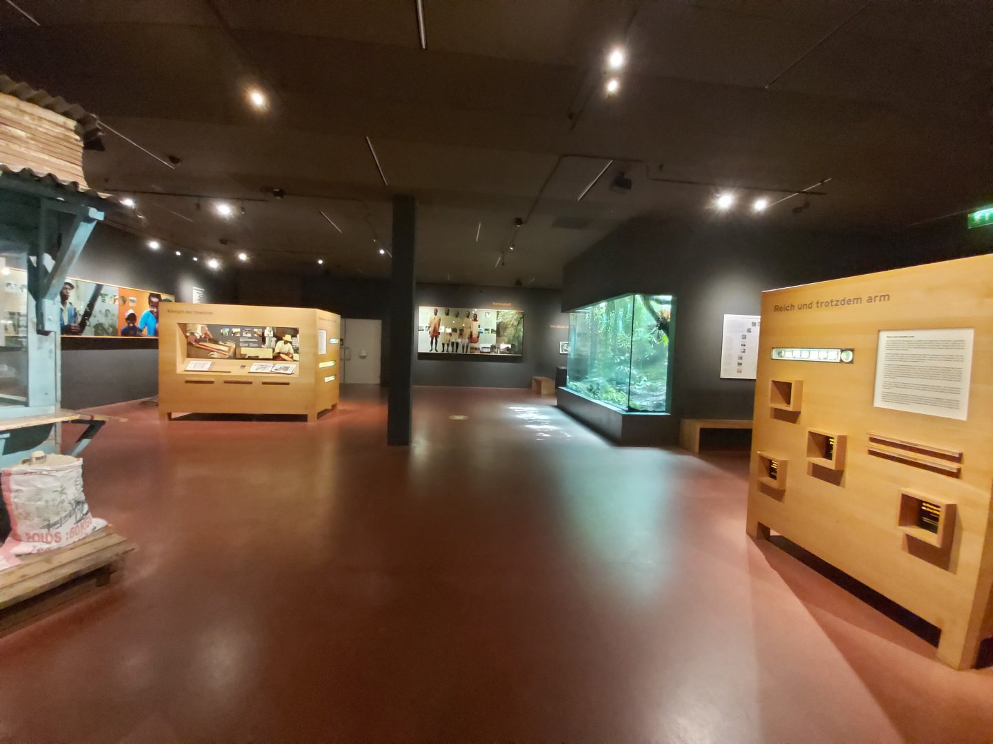 Education hall - Masoala rainforest