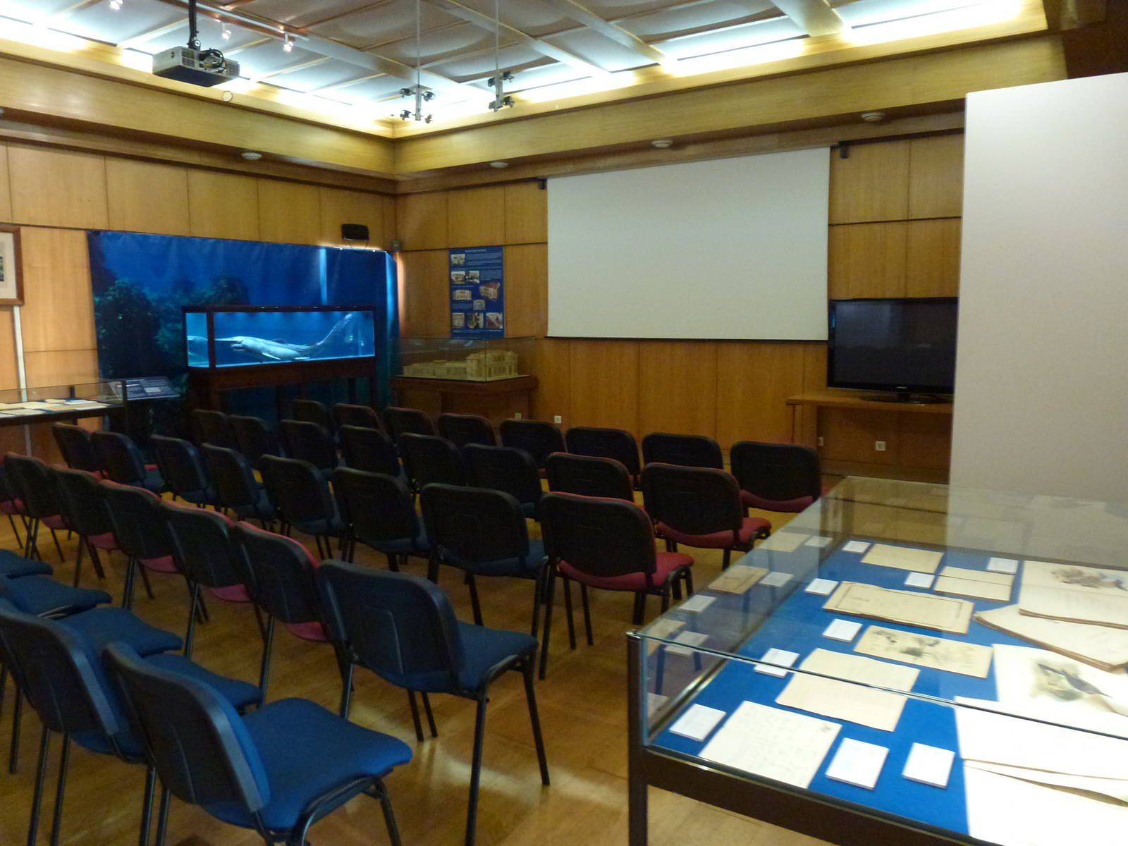 Education hall, November 2013.