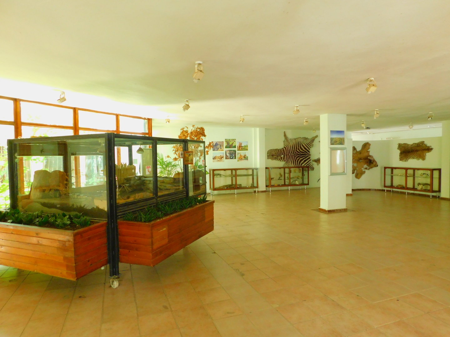 Education Hall with Turkish Spiny Mice