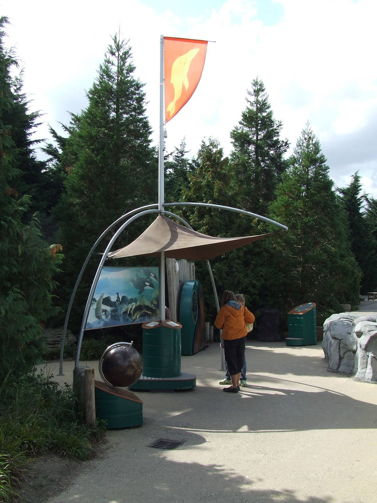 Education in Dolfinarium Harderwijk