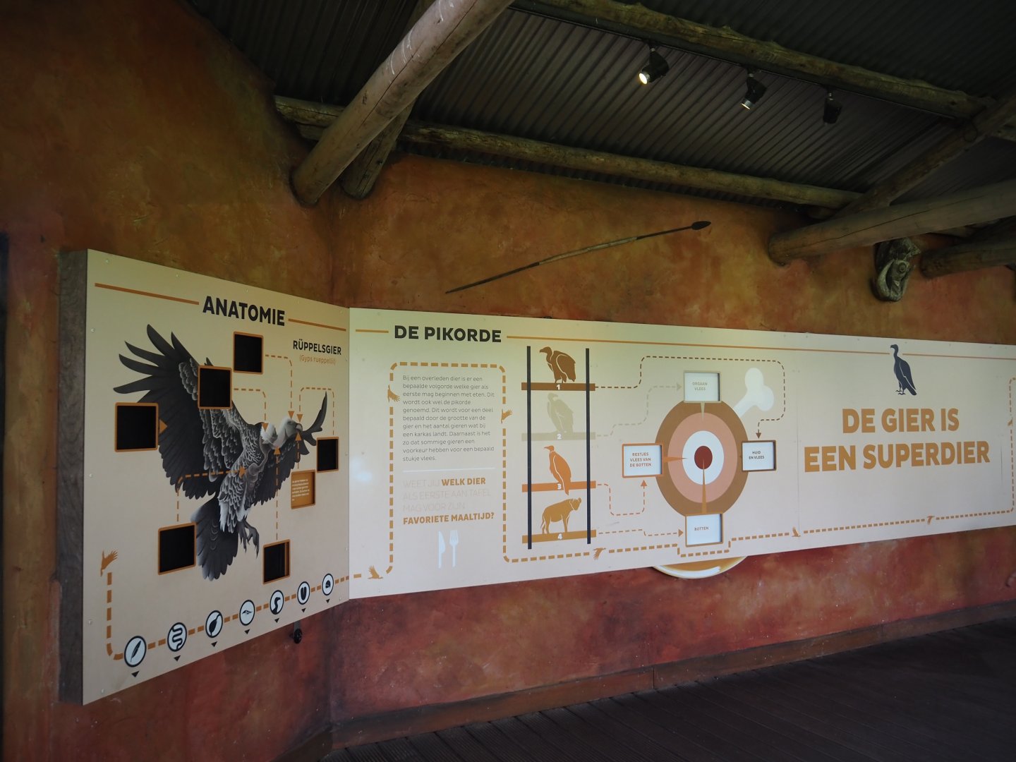 Education in the viewing area for the vulture, marabou and secretary bird aviary, 2024-06-30