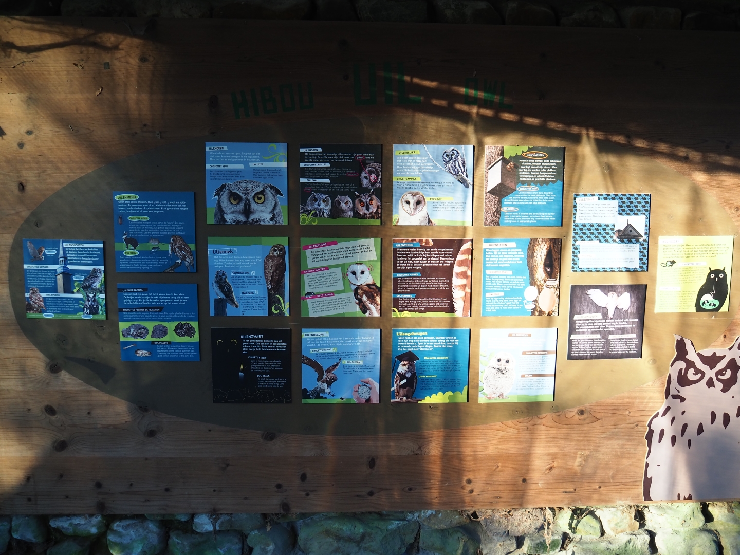 Education on owls (Jan 20th, 2019)