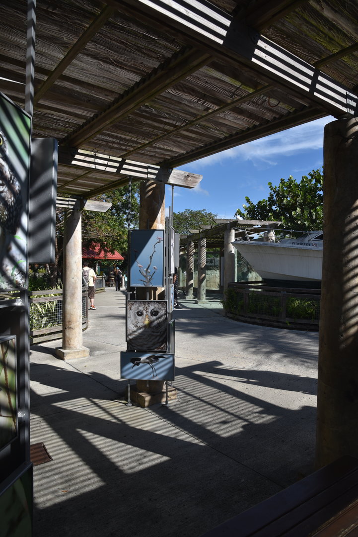 Education outside Burrowing Owl Aviary