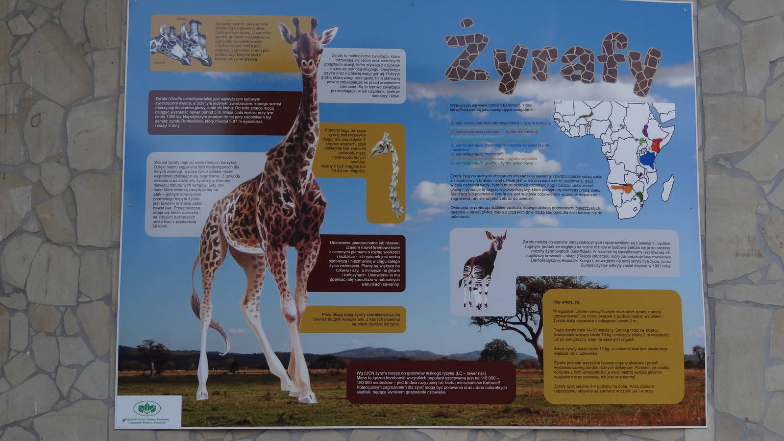 Education panel at giraffe house