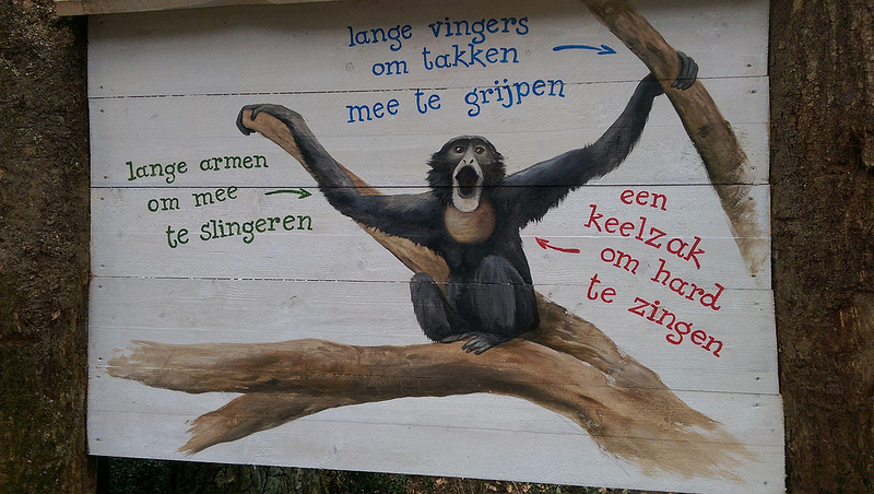 Education panel at the Siamang enclosure