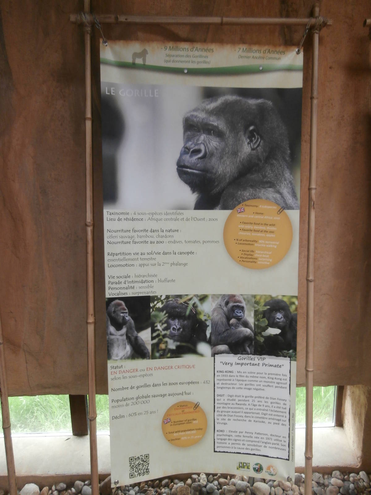 Education panel inside the great ape house