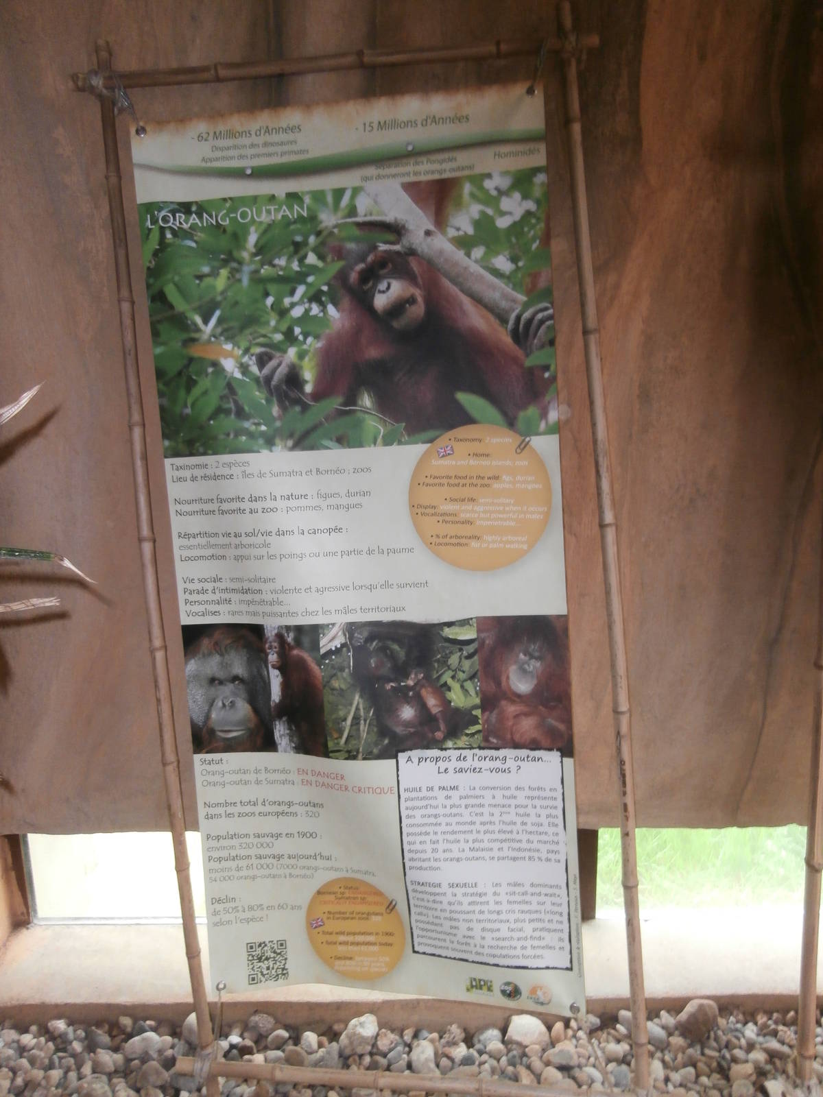 Education panel inside the great ape house