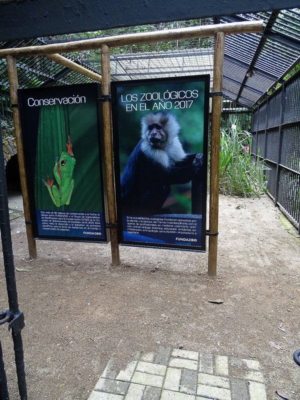 Education panels in former lion enclosure