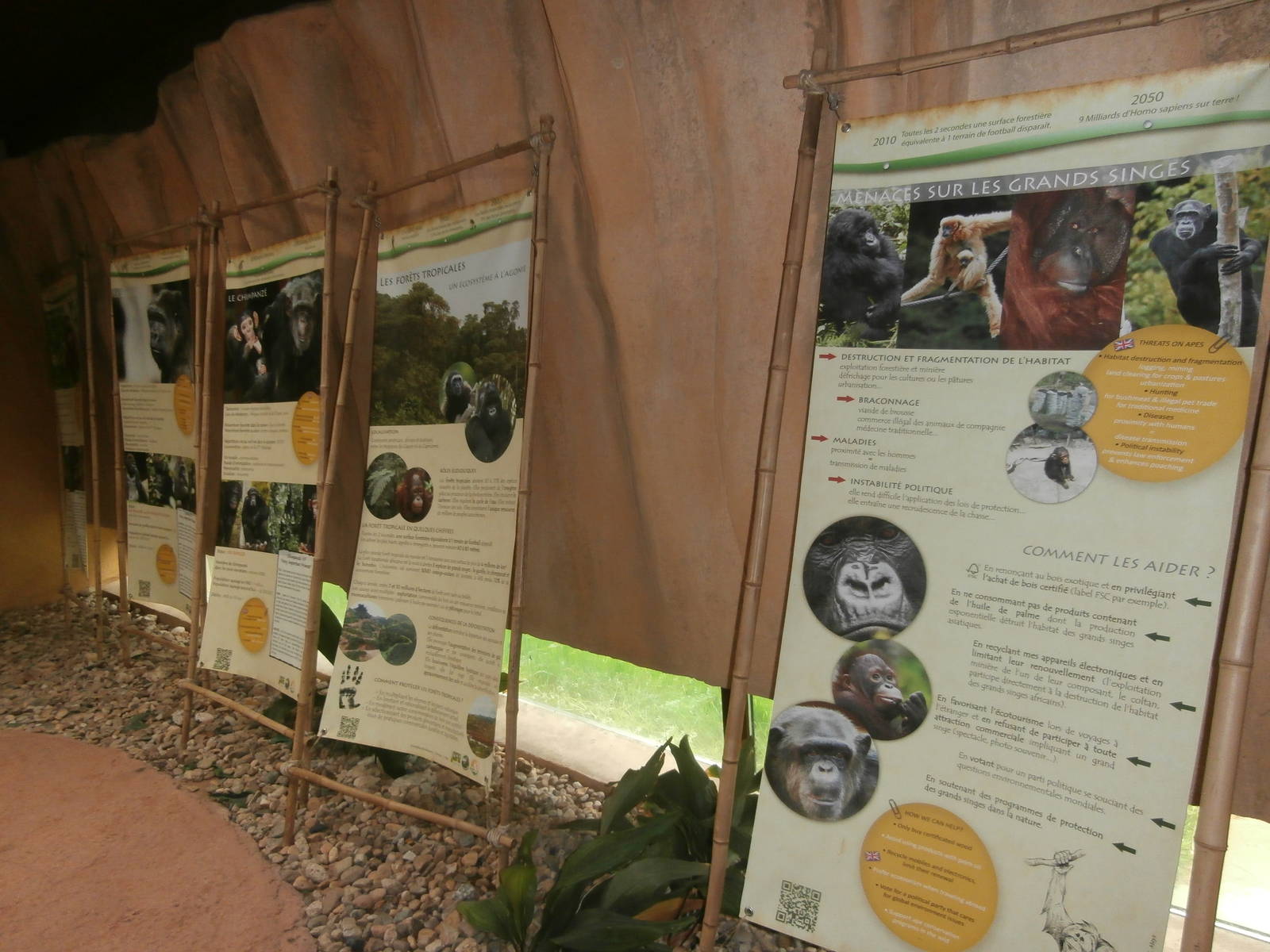 Education panels inside the great ape house
