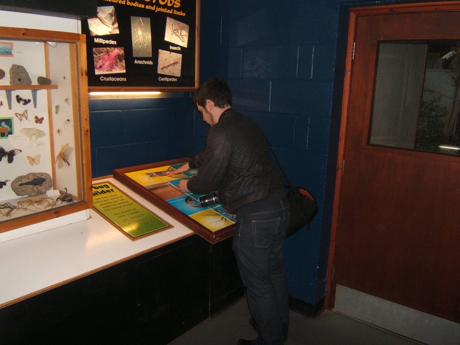 Education puzzle in use